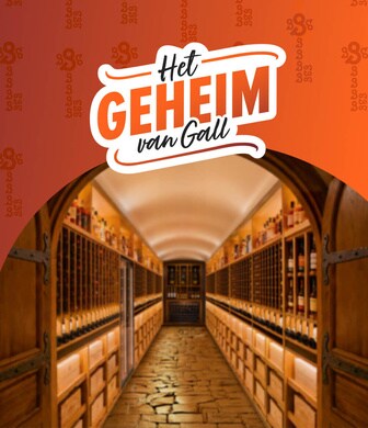 Het geheim van gall